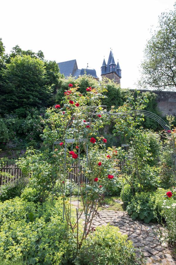 Schloss Spangenberg Exteriör bild